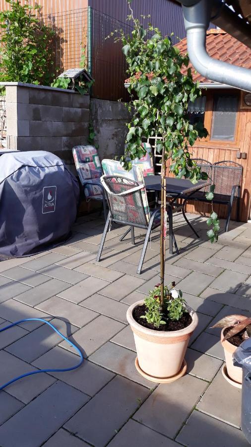 Apartman U Potoka Sadov Εξωτερικό φωτογραφία